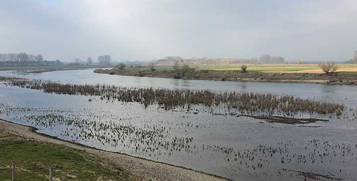 grensmaas